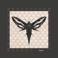 Вінілова платівка Enigma - Voyageur (V) (VINYL) LP