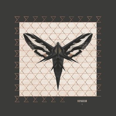 Виниловая пластинка Enigma - Voyageur (V) (VINYL) LP