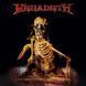 Виниловая пластинка Megadeth - The World Needs A Hero (VINYL) 2LP 1