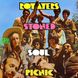 Вінілова платівка Roy Ayers - Stoned Soul Picnic (VINYL) LP 1