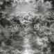 Виниловая пластинка The Neighbourhood - I Love You (VINYL) 2LP 2