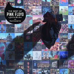 Вінілова платівка Pink Floyd - A Foot In The Door. The Best Of (VINYL) 2LP