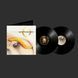 Вінілова платівка A Perfect Circle - Thirteenth Step 2LP 1