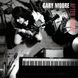 Вінілова платівка Gary Moore - After Hours (VINYL) LP 1
