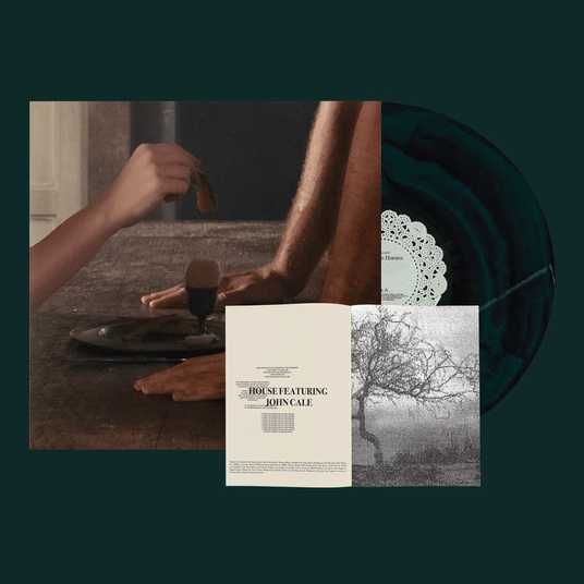 Виниловая пластинка Charli XCX - Wuthering Heights LP - купить
