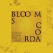 Вінілова платівка Blooms Corda - Найдорожчі Речі У Світі (VINYL LTD) LP 2