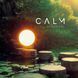 Вінілова платівка Various Artists - Calm Classical (VINYL) 2LP 1