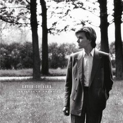 Вінілова платівка David Sylvian - Brilliant Trees (VINYL) LP