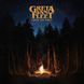 Вінілова платівка Greta Van Fleet - From The Fires (VINYL) LP 1