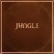 Вінілова платівка Jungle - Sunshine LP 1