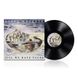 Виниловая пластинка Steve Hackett - Till We Have Faces (VINYL) LP 2