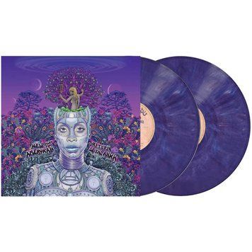 Виниловая пластинка Erykah Badu - New Amerykah Part Two. Return Of The Ankh (VINYL LTD) 2LP