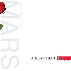 Виниловая пластинка Thirty Seconds To Mars - A Beautiful Lie (VINYL) LP