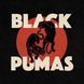 Вінілова платівка Black Pumas - Black Pumas (VINYL) LP 1