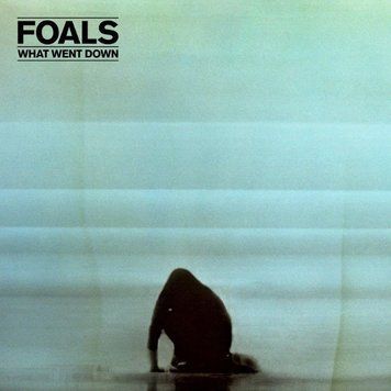 Виниловая пластинка Foals - What Went Down (VINYL) LP