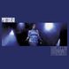Виниловая пластинка Portishead - Dummy (VINYL) LP 1