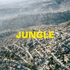 Вінілова платівка Blaze, The - Jungle (VINYL) LP