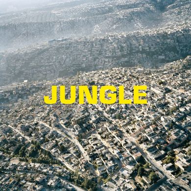 Виниловая пластинка Blaze, The - Jungle (VINYL) LP