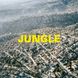 Виниловая пластинка Blaze, The - Jungle (VINYL) LP 1