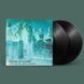 Вінілова платівка Boards Of Canada - Music Has The Right To Children 2LP 1