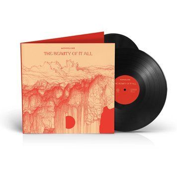 Виниловая пластинка Monolink - The Beauty Of It All