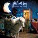 Виниловая пластинка Fall Out Boy - Infinity On High 1