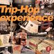 Вінілова платівка Moby, Fatboy Slim, Telepopmusik, Bonobo - Trip-Hop Experience Vol.1 (VINYL) 2LP 1