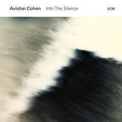Вінілова платівка Avishai Cohen - Into The Silence (VINYL) 2LP