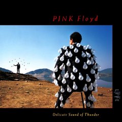Виниловая пластинка Pink Floyd - Delicate Sound Of Thunder (VINYL) 2LP