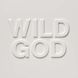 Виниловая пластинка Nick Cave & The Bad Seeds - Wild God 1
