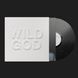 Виниловая пластинка Nick Cave & The Bad Seeds - Wild God 2