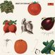 Вінілова платівка Cream - Best Of Cream (VINYL) LP 1