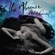 Виниловая пластинка Melody Gardot - The Absence (VINYL) LP 1