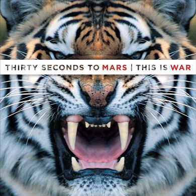 Виниловая пластинка Thirty Seconds To Mars - This Is War (VINYL) 2LP