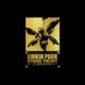 Виниловая пластинка Linkin Park - Hybrid Theory (DLX VINYL BOX) 4LP 2