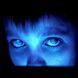 Виниловая пластинка Porcupine Tree - Fear Of A Blank Planet 1