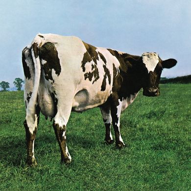 Виниловая пластинка Pink Floyd - Atom Heart Mother (VINYL) LP