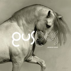 Виниловая пластинка GusGus - Arabian Horse (VINYL) 2LP