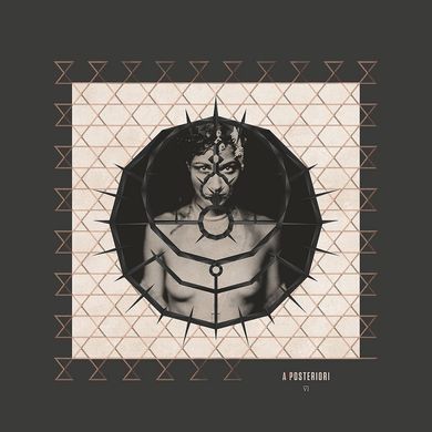 Вінілова платівка Enigma - A Posteriori (VI) (VINYL) LP