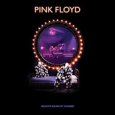 Виниловая пластинка Pink Floyd - Delicate Sound Of Thunder (VINYL) 3LP