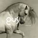 Виниловая пластинка GusGus - Arabian Horse (VINYL) 2LP 1