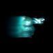 Виниловая пластинка Phoebe Bridgers - Lost Weekend (Rogue Planet Edition) 2