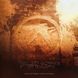 Виниловая пластинка Aphex Twin - Selected Ambient Works Volume II (VINYL) 4LP 1