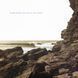 Вінілова платівка Polygon Window (Aphex Twin) - Surfing On Sine Waves (VINYL) 3LP 1