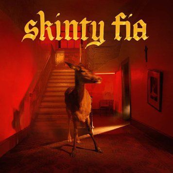 Вінілова платівка Fontaines D.C. - Skinty Fia LP