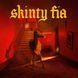 Виниловая пластинка Fontaines D.C. - Skinty Fia 1