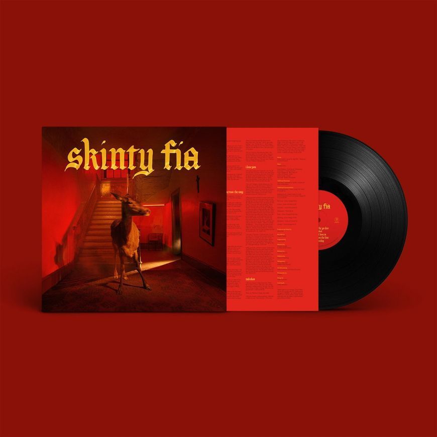 Виниловая пластинка Fontaines D.C. - Skinty Fia