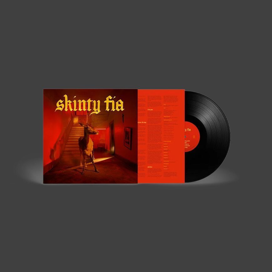 Виниловая пластинка Fontaines D.C. - Skinty Fia