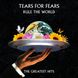Вінілова платівка Tears For Fears - Rule The World. The Greatest Hits (VINYL) 2LP 1