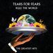 Вінілова платівка Tears For Fears - Rule The World. The Greatest Hits (VINYL) 2LP 1